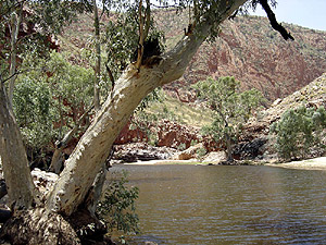 Outback - Australien